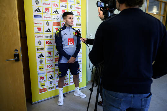Roony Bardghji of the Swedish men's national football team