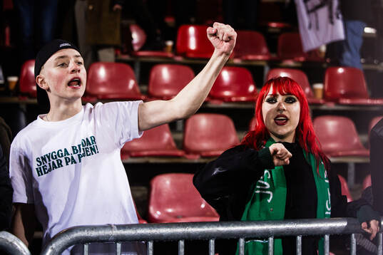 Supporters of Hammarby celebrates