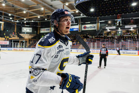 Södertäljes Carter Ashton jublar