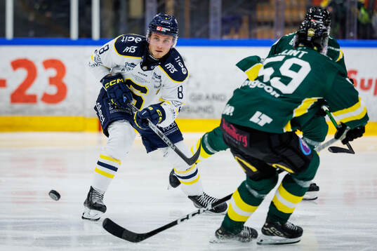 Södertäljes William Wiå