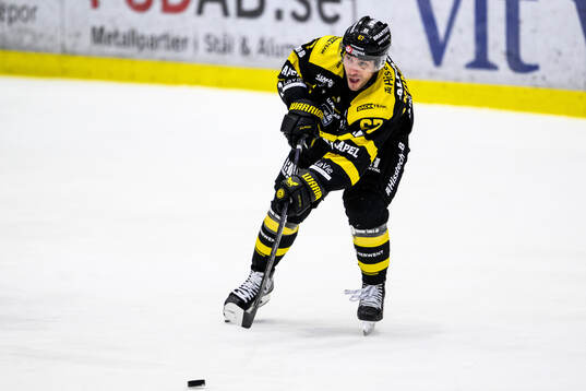 Västerås Konstantin Komarek