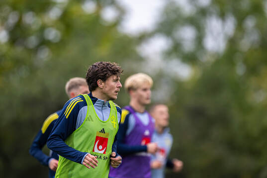 Victor Nilsson Lindelöf and Benjamin Nygren of the Swedish