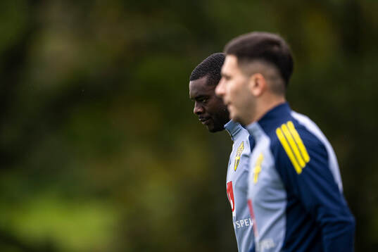 Ken Sema and Roony Bardghji of the Swedish men's national