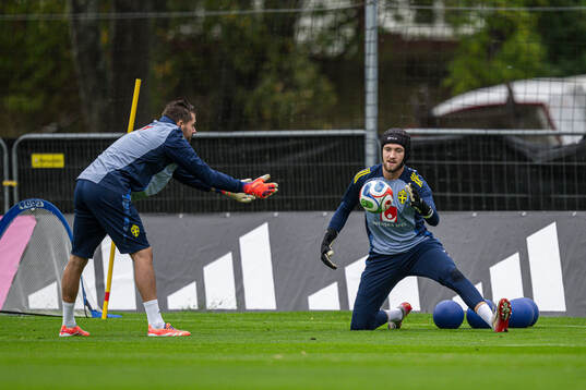 Goalkeeper Kristoffer Nordfeldt and goalkeeper Noel