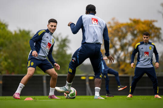 Roony Bardghji and Yasin Ayari of the Swedish men's