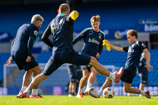 David Møller Wolfe of the Norwegian national football team