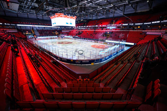 Monitor ERP Arena
