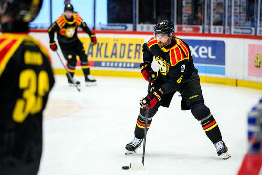 Brynäs Michal Kempny