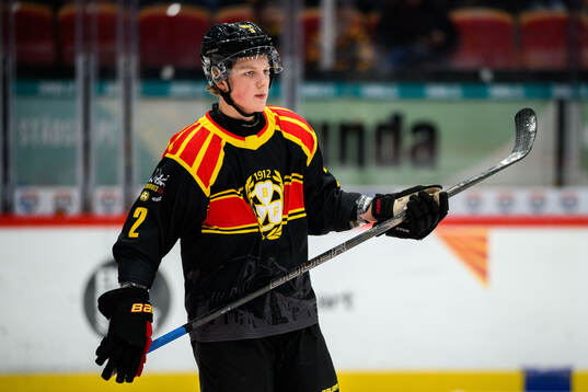 Brynäs Victor Raftheim Hedin