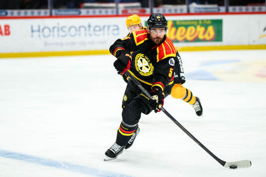 Brynäs Michal Kempny