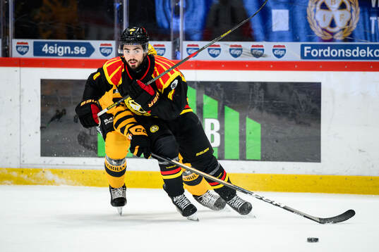 Brynäs Bobby Trivigno
