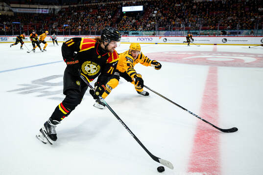 Bläddra bland fler bilder av Ishockey, SHL, Brynäs - Skellefteå
