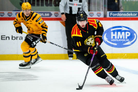 Brynäs Greg Scott