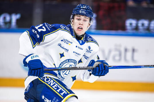 Leksands Dennis Altörn