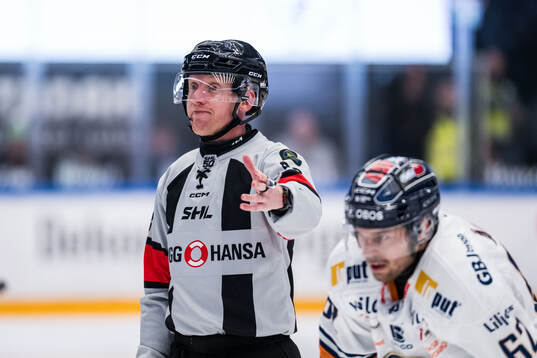 Domare Mikael Holm