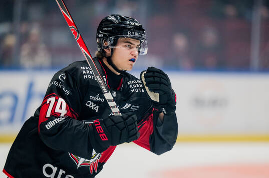Malmö Redhawks Felix Carell