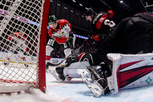 Bläddra bland fler bilder av Ishockey, SHL, Malmö Redhawks - Frölunda