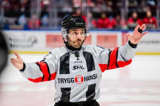 Domare Mattias Enroth