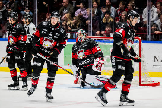 Malmö Redhawks målvakt Marek Langhamer deppar