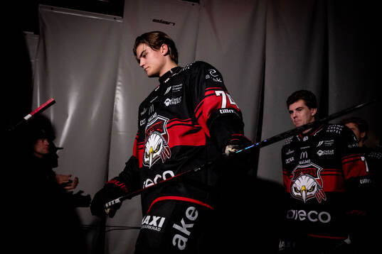 Malmö Redhawks Felix Carell