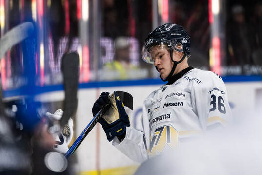 HV71s Martin Johnsen deppar
