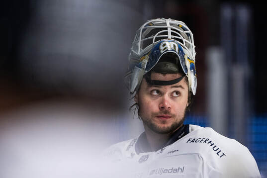 HV71s målvakt Frederik Dichow