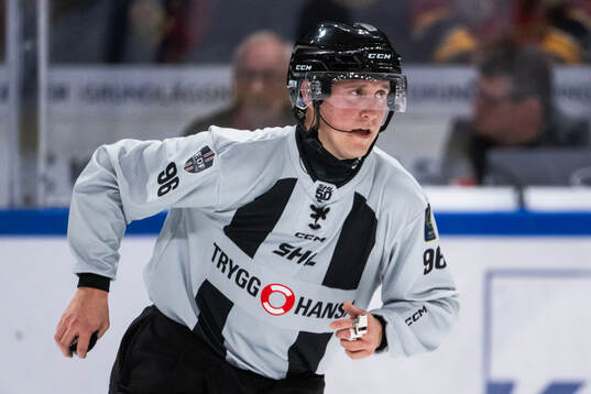 Linjedomare Niclas Westman