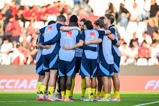 Players of Sweden