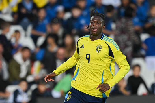 Alieu Njie of Sweden