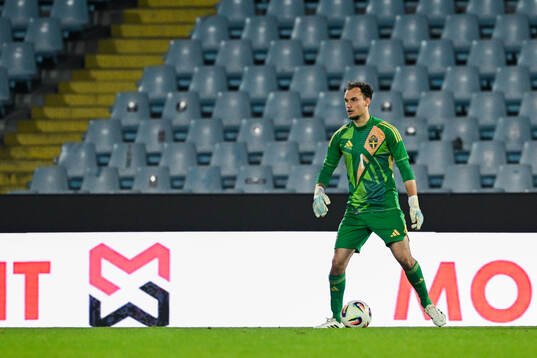 Goalkeeper Elis Bishesari of Sweden