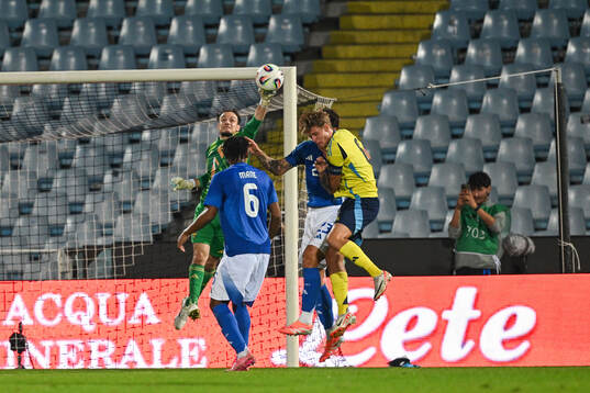 Goalkeeper Elis Bishesari of Sweden and Filippo Mane of