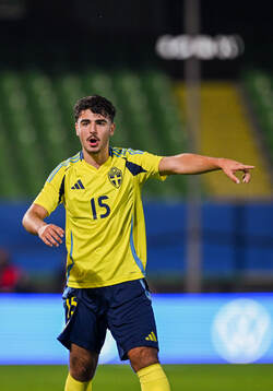 Bleon Kurtulus of Sweden