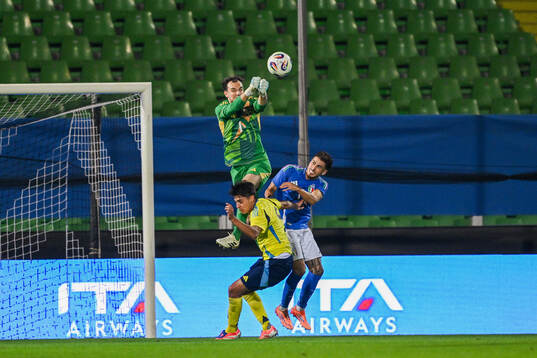 Goalkeeper Elis Bishesari of Sweden