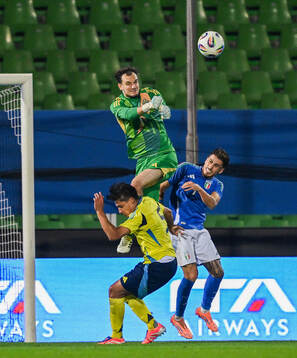 Goalkeeper Elis Bishesari of Sweden