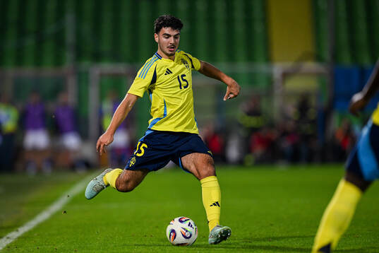 Bleon Kurtulus of Sweden