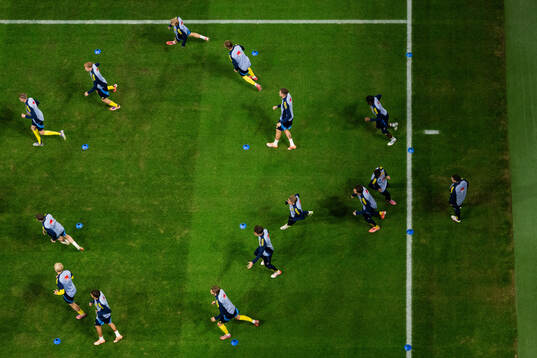 Players of Sweden