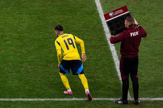 Roony Bardghji of Sweden