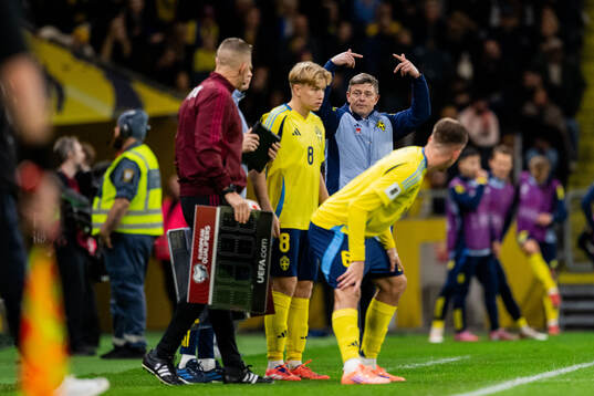 Head coach Jon Dahl Tomasson of Sweden