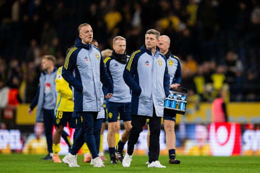 Head coach Jon Dahl Tomasson of Sweden