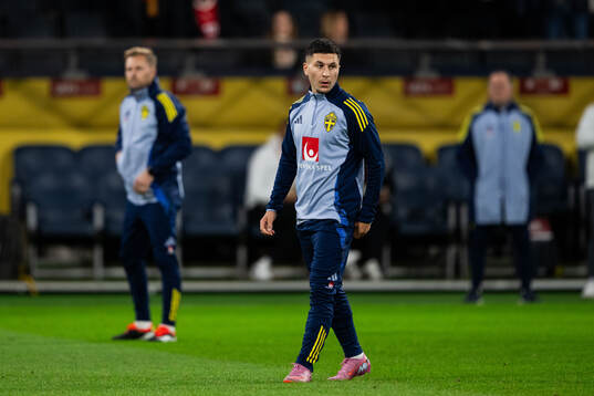 Roony Bardghji of Sweden