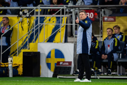 Head coach Jon Dahl Tomasson of Sweden