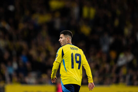 Roony Bardghji of Sweden