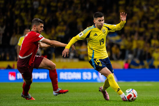 Roony Bardghji of Sweden