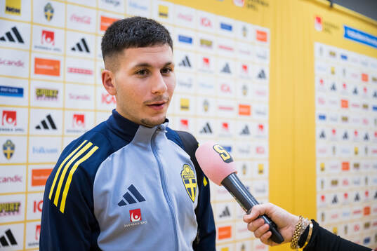 Roony Bardghji of Sweden