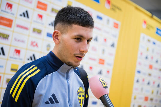 Roony Bardghji of Sweden