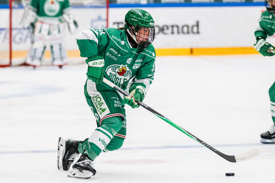 Rögles Sara Boucher