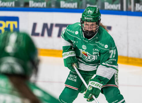 Rögles Mella Liegnell
