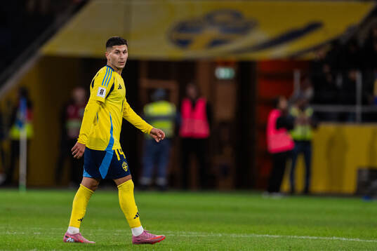 Roony Bardghji of Sweden