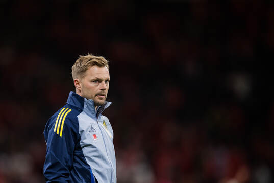 Assistant coach Sebastian Larsson of Sweden