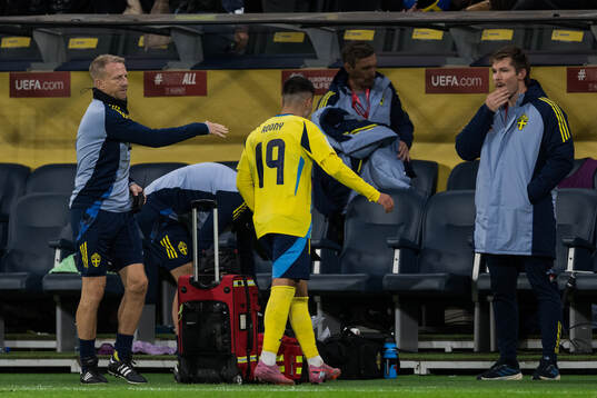 Roony Bardghji of Sweden